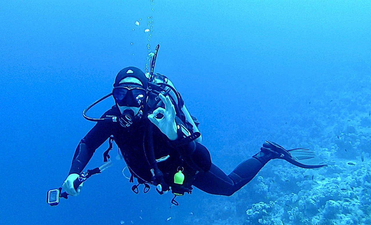 dive, underwater, diver-1798527.jpg